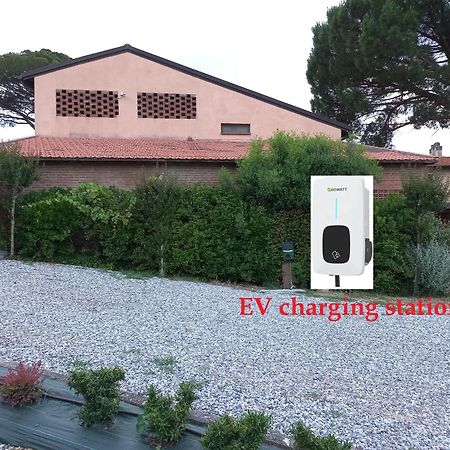 Agriturismo Buon Riposo - Country Resort In The Heart Of Tuscany 산 조반니 아 코라짜노 외부 사진