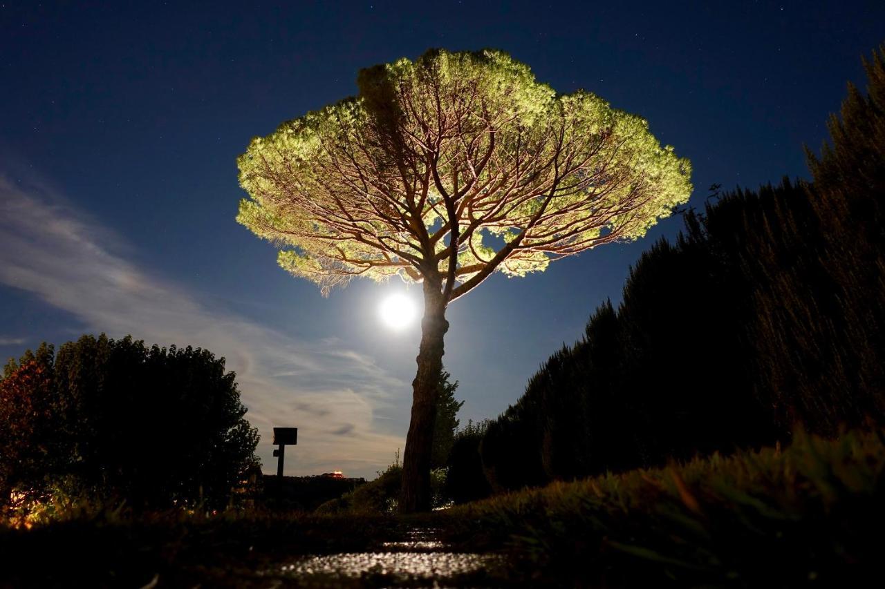Agriturismo Buon Riposo - Country Resort In The Heart Of Tuscany 산 조반니 아 코라짜노 외부 사진