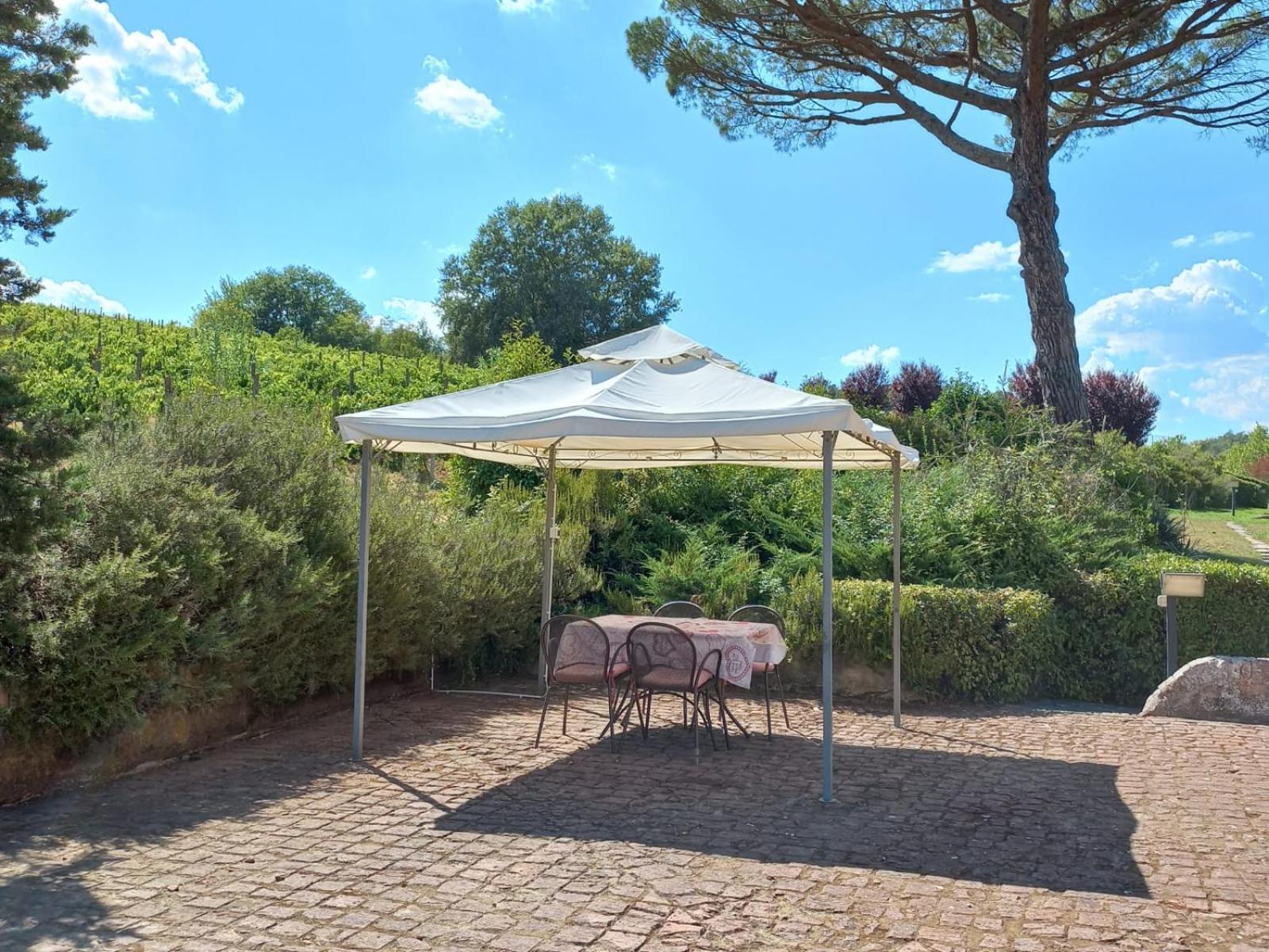 Agriturismo Buon Riposo - Country Resort In The Heart Of Tuscany 산 조반니 아 코라짜노 외부 사진