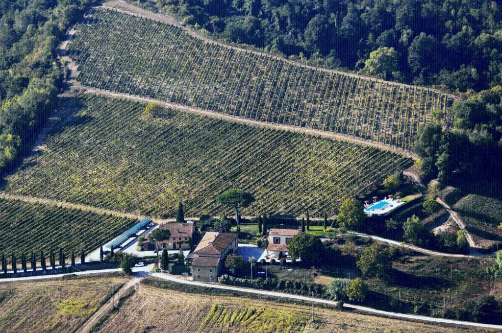 Agriturismo Buon Riposo - Country Resort In The Heart Of Tuscany 산 조반니 아 코라짜노 외부 사진