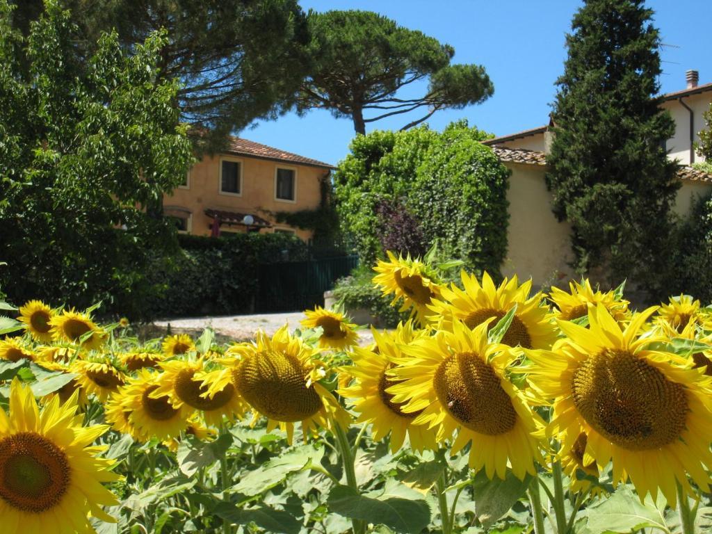 Agriturismo Buon Riposo - Country Resort In The Heart Of Tuscany 산 조반니 아 코라짜노 외부 사진