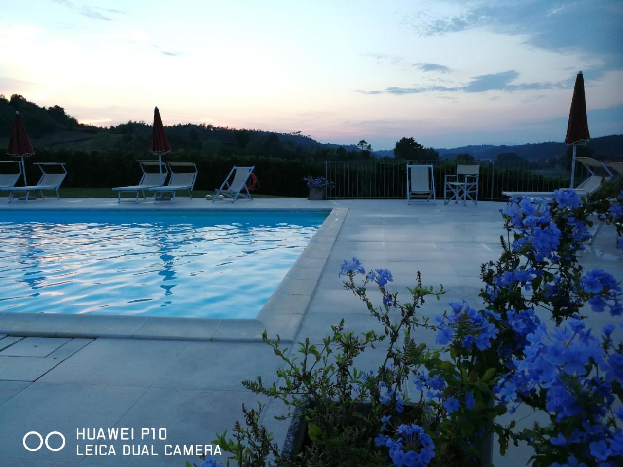 Agriturismo Buon Riposo - Country Resort In The Heart Of Tuscany 산 조반니 아 코라짜노 외부 사진