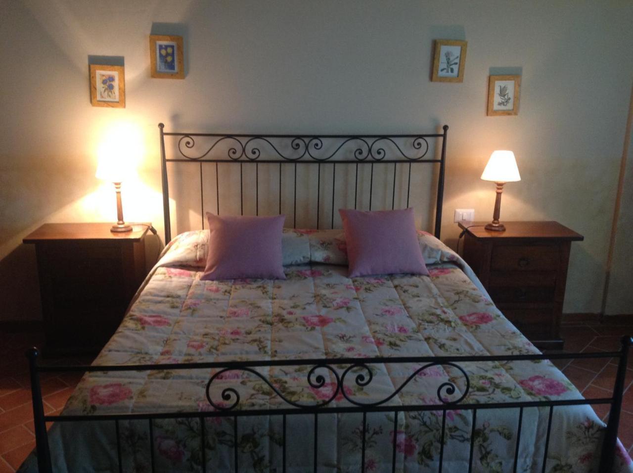 Agriturismo Buon Riposo - Country Resort In The Heart Of Tuscany 산 조반니 아 코라짜노 외부 사진